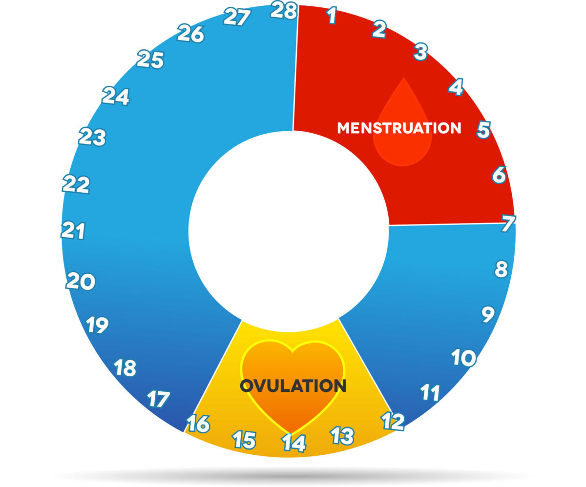 Ovulation, what you need to know UTest Rapid diagnostic screening
